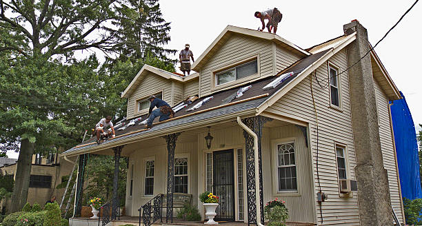 Best Roof Gutter Cleaning  in Kingston Estates, NJ